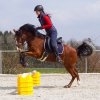 Podstawka pod cavaletti